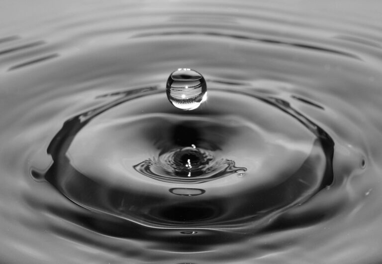 water, water drop, ripple-384649.jpg
