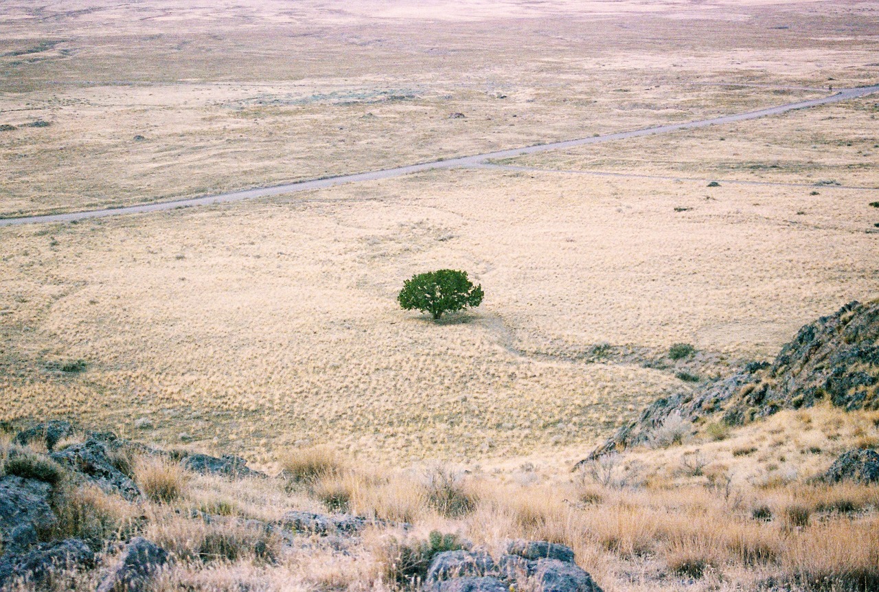 desert, arid land, landscape-5507220.jpg