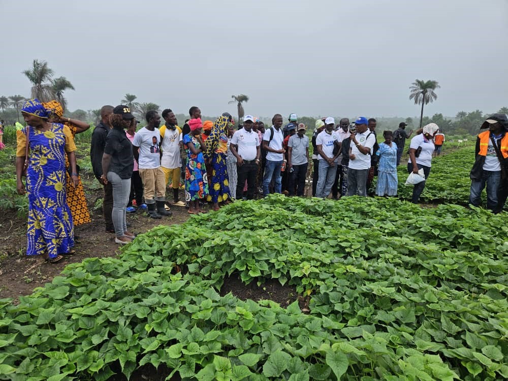 Green agricultural infrastructure program