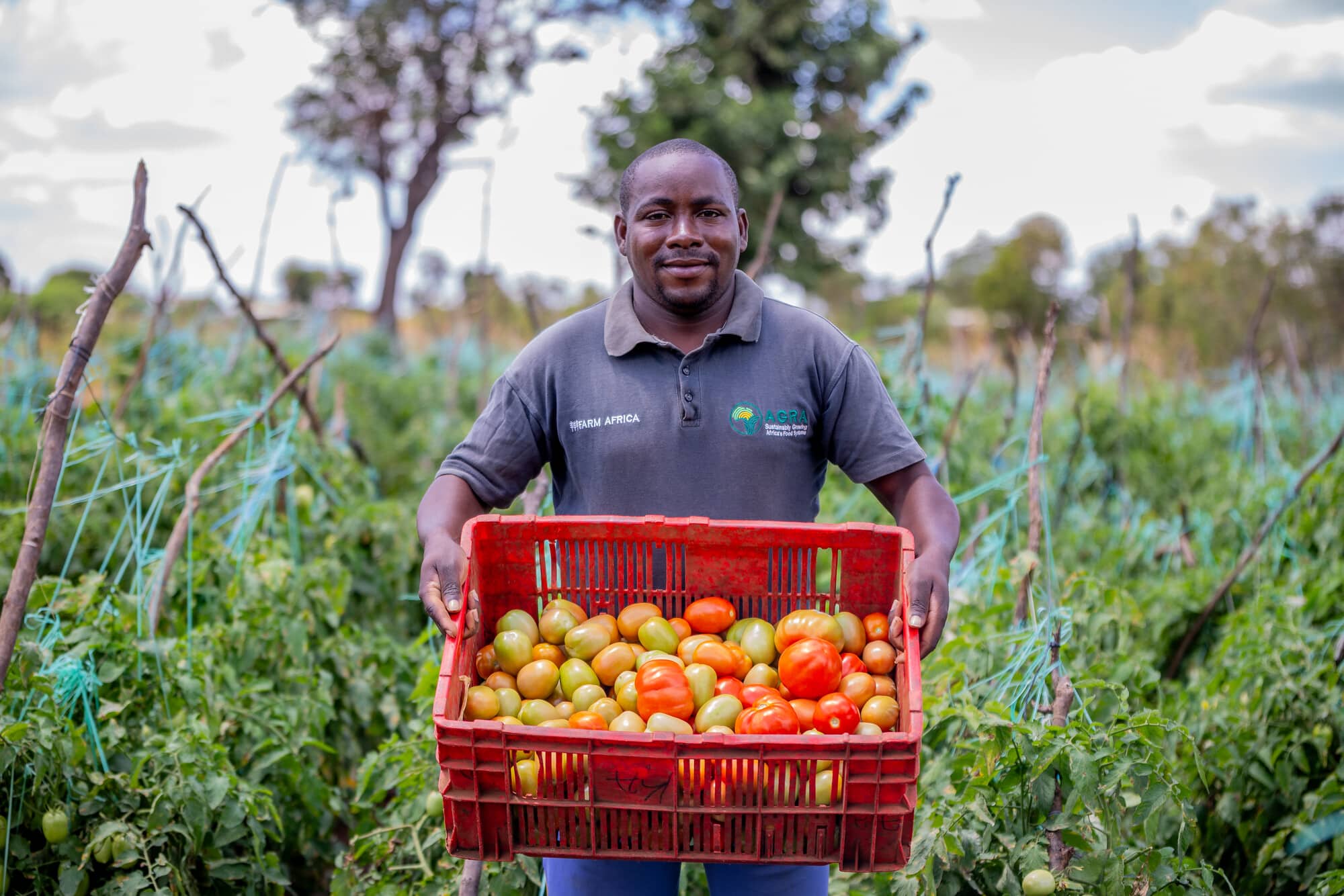 Agriculture & Food Security